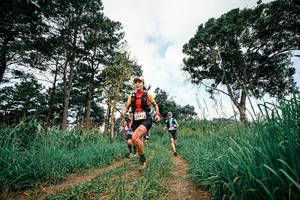 BIB: 
                            <button type="button" onclick="openModal(26025744)" class="btn btn-primary btn-sm float-right btn-popup" data-toggle="modal" data-target=".modal-high-quality">
                        <i class="fas fa-shopping-cart"></i> Add to Cart
                    </button>
                                            <button type="button" onclick="isThisMe(26025744, true)" class="btn btn-success btn-sm float-right btn-popup btn-isme hidden" data-toggle="tooltip" data-placement="bottom" title="นี่คือรูปของคุณใช่ไหม คลิกที่นี่เพื่อเอาเข้าอัลบั้ม">
                        <i class="fas fa-plus"></i> Add to album
                    </button>
                    <button type="button" onclick="isThisMe(26025744, false)" class="btn btn-warning btn-sm float-right btn-popup btn-isnotme hidden">
                        <i class="fas fa-ban"></i> Remove from album
                    </button>